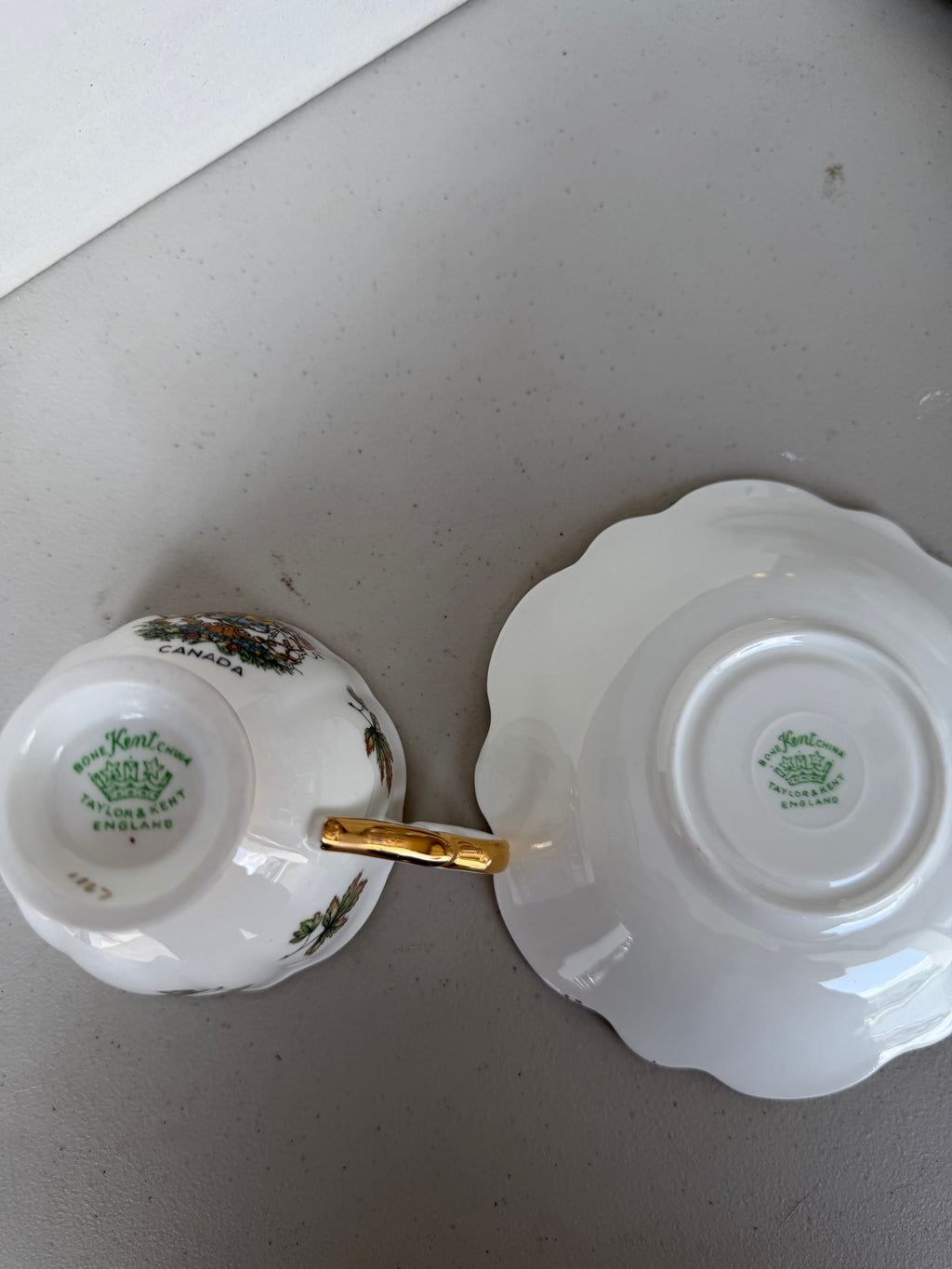 Taylor & Kent teacup and saucer