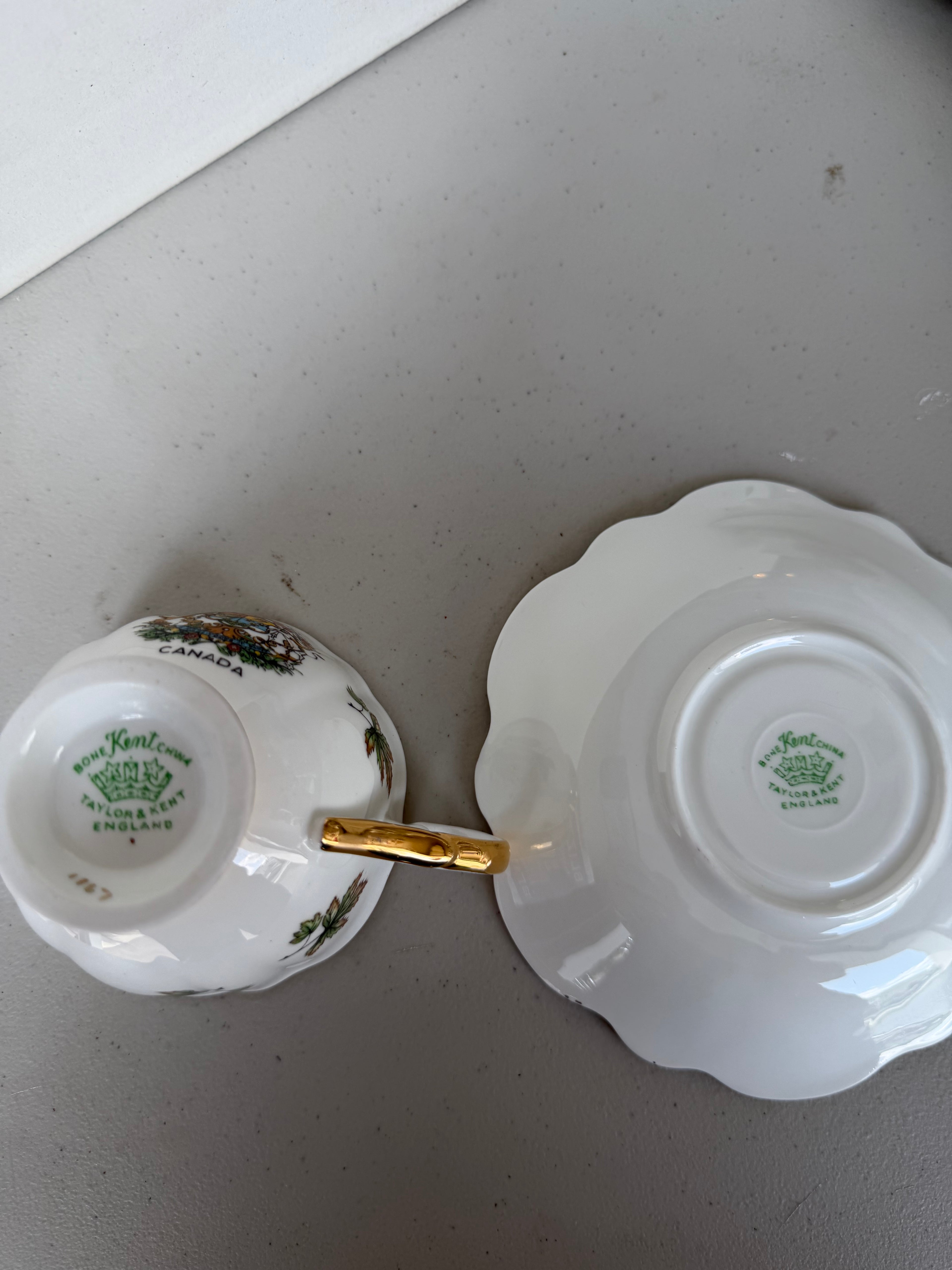Taylor & Kent teacup and saucer